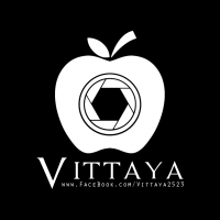 vittaya's profile