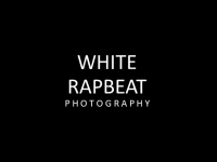 whiterapbeat's profile