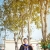 ภาพรับปริญญา มหาวิทยาลัยคริสเตียน