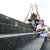 ภาพรับปริญญา มหาวิทยาลัยบูรพา