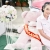ภาพรับปริญญา มหาวิทยาลัยปทุมธานี